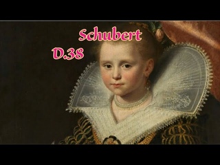 Franz P. Schubert -  Totengrberlied in E minor