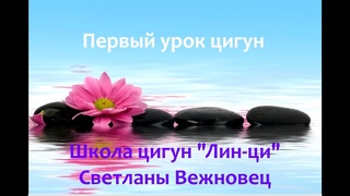 Цигун. Первый урок видеокурса. Практика.