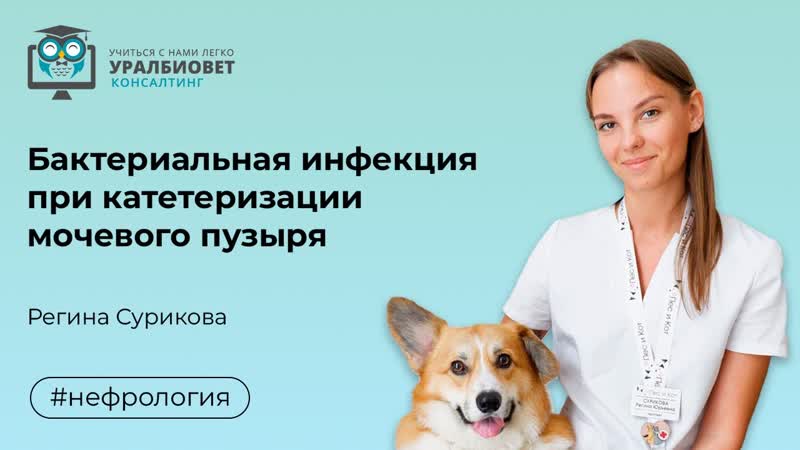 Бактериальная инфекция при катетеризации мочевого пузыря,