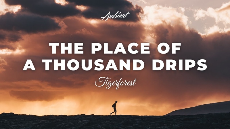 Tigerforest The Place Of A Thousand Drips ambient cinematic