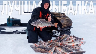 Лучшая рыбалка сезона. Окунь дуреет от самодельной блесны. Зимняя рыбалка 2022. Зимняя блесна.