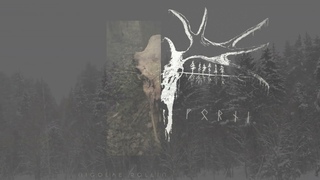 Nicolae Rollin  - Forni (Single, 2021)
