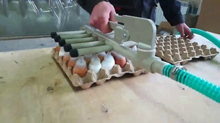 Вакуумный ручной транспортер для яиц. Спрут Технолоджи