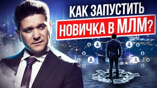 Как запустить новичка в МЛМ Правильный запуск новичка и его сопровождение в МЛМ.