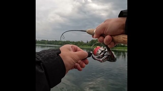 Almsee /Lachsforellenangeln / Forellenangeln / Jara Baits / Tango Worm