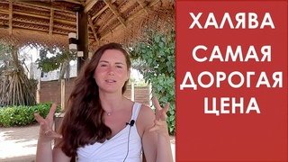 ХАЛЯВА САМАЯ ДОРОГАЯ ЦЕНА КАК УВЕЛИЧИТЬ ПРИБЫЛЬ СЕКРЕТ УСПЕХА ЯСНЫЕ МЫСЛИ С НАСТЕЙ ЯСНОЙ