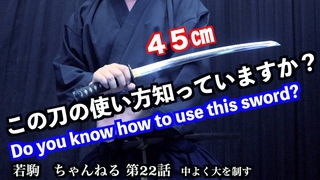 殺陣講座22話　脇差Wakizashi・小太刀Kodachi編を初心者のために大公開