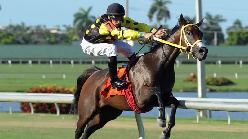 Kenny Mayne: Is Fallen Leaf The Worst Horse Racing Beat Of All Time , ESPN