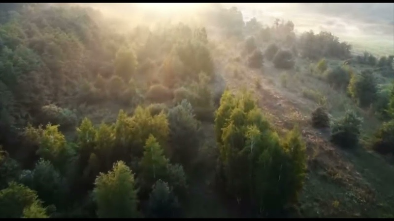 КОЛЫБЕЛЬНЫЕ НА НОЧЬ Колыбельная Красной