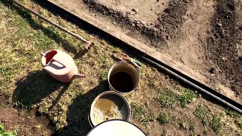 Подкормка и другие весенние работы с