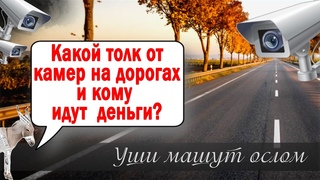 Какой толк от камер на дорогах и кому идут деньги