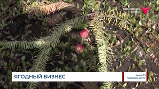 Ягодный бизнес в Уватском районе