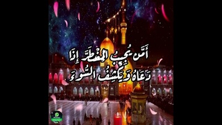 💟 حالة واتس أب (  أَمَّن