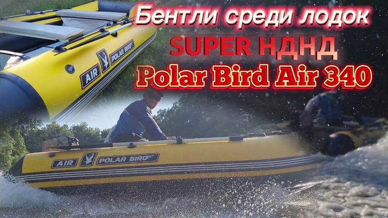 супер НДНД от Polar Bird , Бентли среди