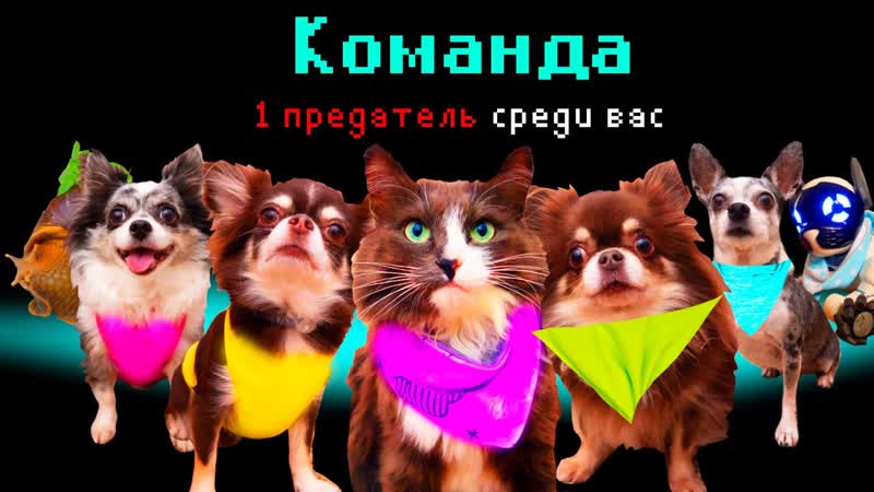AMONG US В РЕАЛЬНОИ ЖИЗНИ КТО ПРЕДАТЕЛЬ АМОНГ АС В РЕАЛЬНОСТИ
