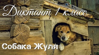 Диктант по русскому языку с проверкой! 1 класс.  Собака Жуля #диктант1класс #диктант