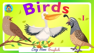 Birds for Kids. Childrens Vocabulary from Cosy Home English