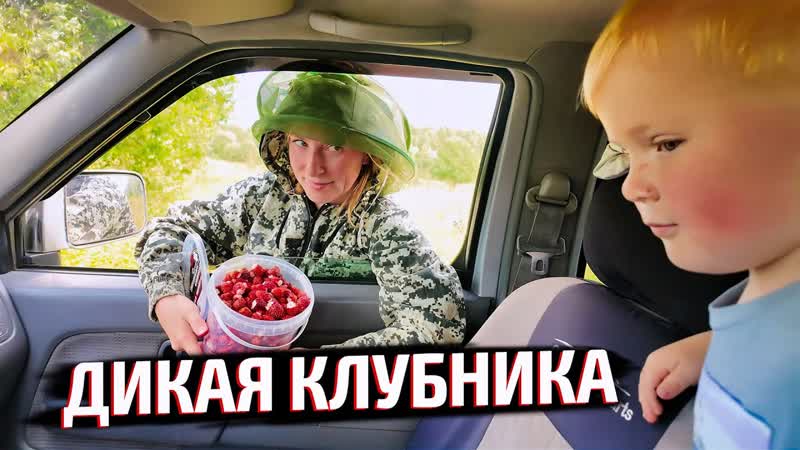 ДОДЕЛАЛ ЗАЩИТУ ОТ ПТИЦ, ЭКСПЕДИЦИЯ ЗА ЛЕСНОЙ КЛУБНИКОЙ НА
