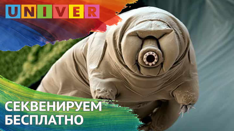 СЕКВЕНИРУЕМ