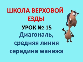 Диагональ, средняя линия, середина манежа