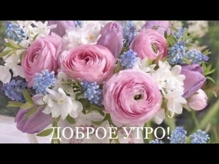 От души желаю доброго утра и хорошего дня💛💚💛 Пусть все мечты сбываются 😊