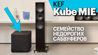 KEF Kube MIE — серия интересных и сравнительно недорогих сабвуферов с динамиками от 8” до 15”.