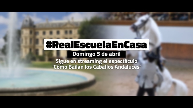 Real Escuela En Casa: Cómo Bailan los Caballos Andaluces. 05 04