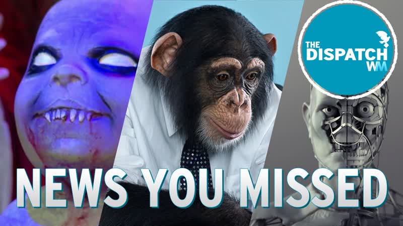 Zombie Xmas, Skyping Apes Bionic Humans: The Dispatch Ep.