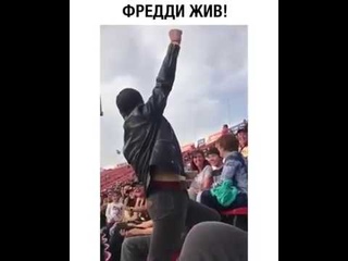 Фредди Меркури на стадионе