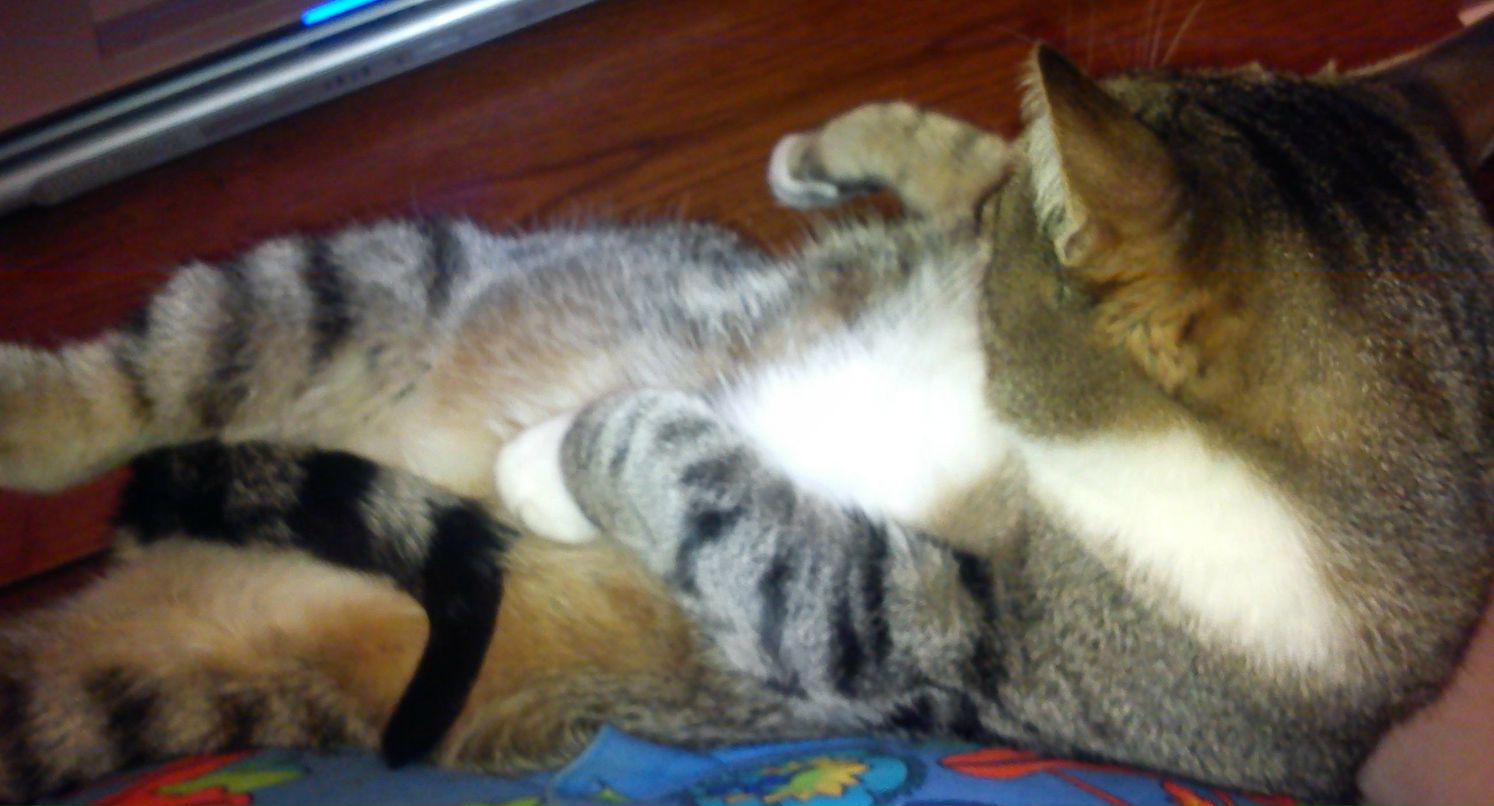 Ирина Сергеева Николаевна | Санкт-Петербург