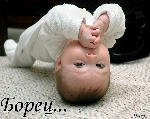 Илья Аскуй | 