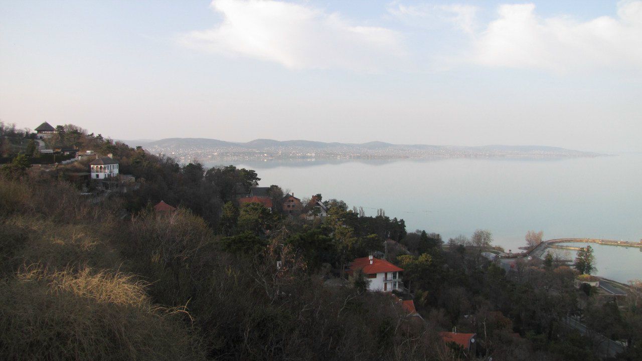 Дмитрий Новоселов | Санкт-Петербург