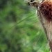 Влада Байрак фотография #16