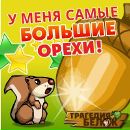 Фотография Радмир Сальманов