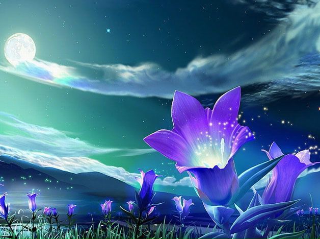 №54, Татьяна Михайлова, Санкт-Петербург №54, Татьяна Михайлова, Санкт-Петербург