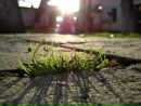 Фотография Леся Боднар-Петришин