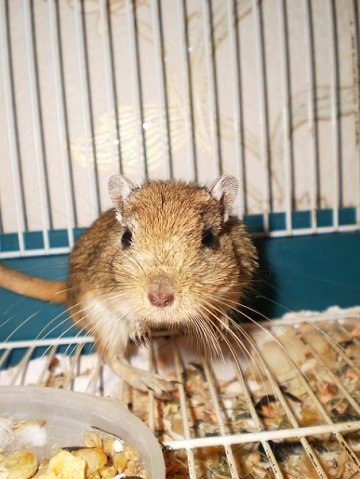 Marina Makarova | Новополоцк