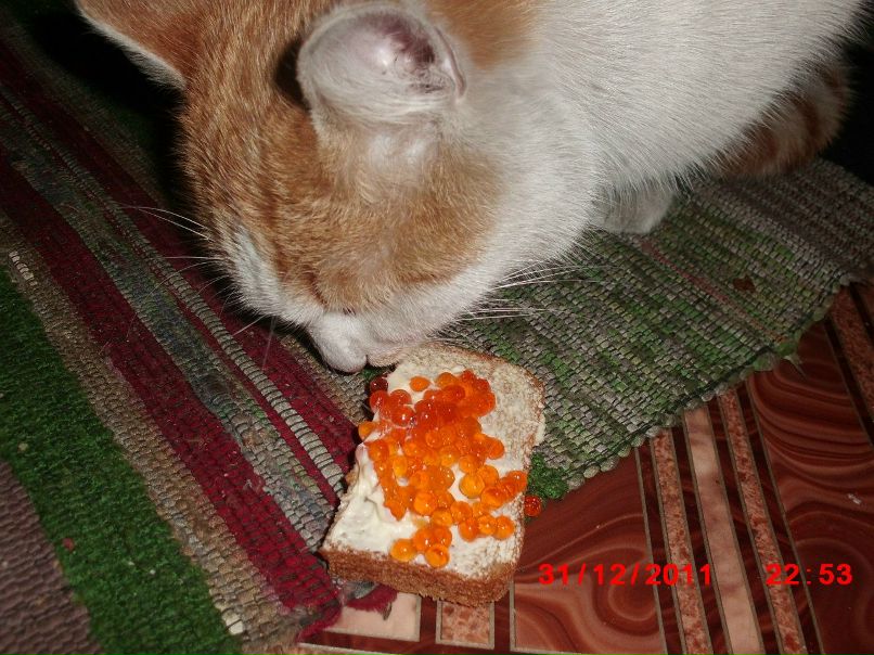 Татьяна Бокова | Павлоград