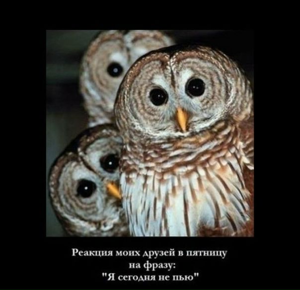 №27, Антон Оверченко, 46 лет, Москва №27, Антон Оверченко, 46 лет, Москва