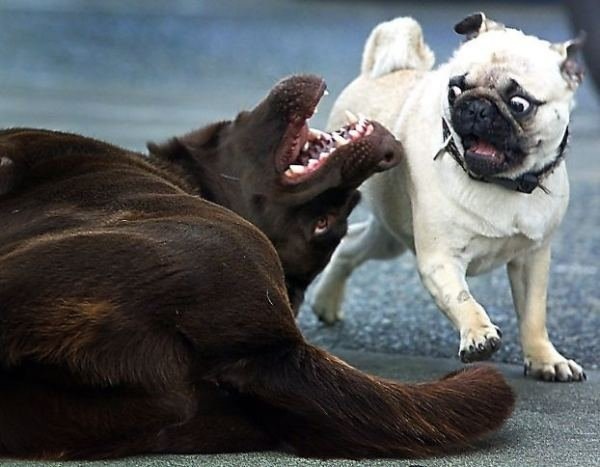 №104, Твоя Энн, 36 лет, Москва, Россия №104, Твоя Энн, 36 лет, Москва, Россия