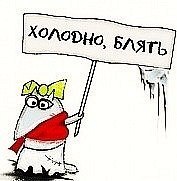 Ксения Брунгильда | Санкт-Петербург