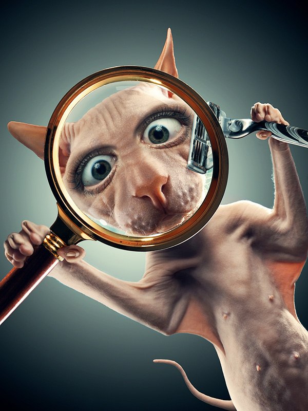 Саша Погребной ▼ | Киев