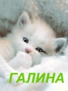 Фотография Крутиковой Галины