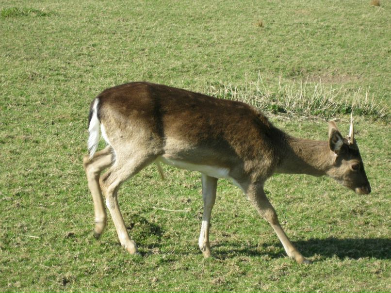 Екатерина Локтева | Санкт-Петербург