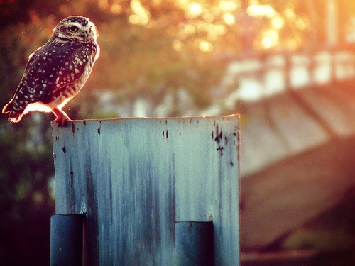 №54, Vlad Savchenko, Калининград №54, Vlad Savchenko, Калининград