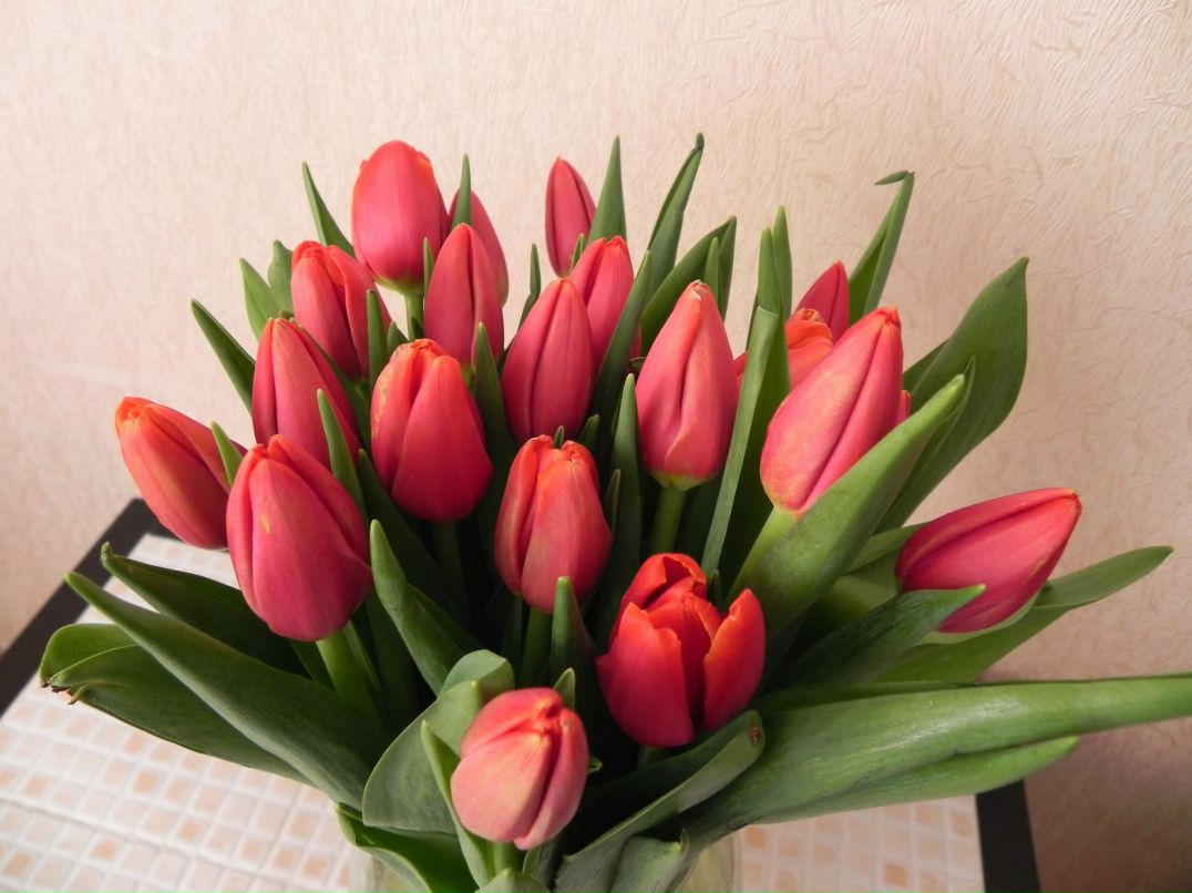 Виктория Машкина | Тюмень