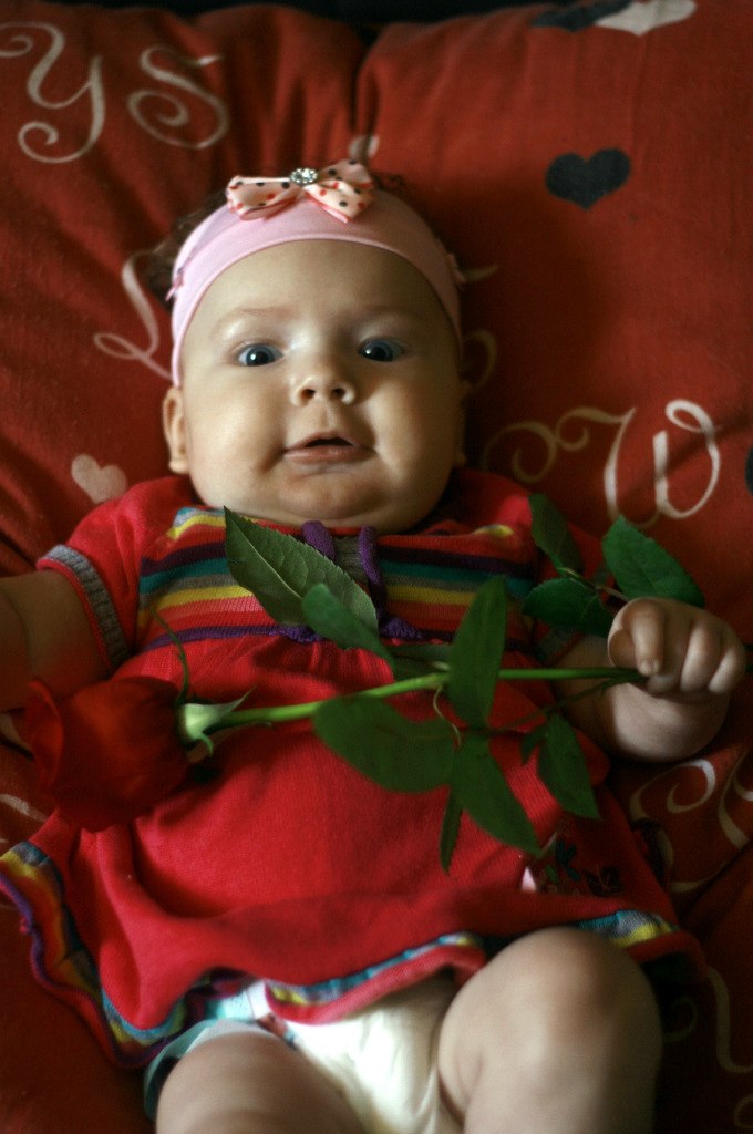 Буся Brown | Оренбург