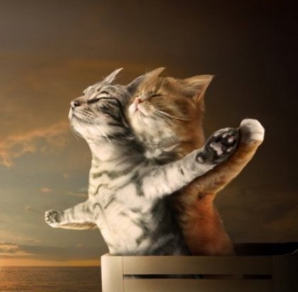 Олег Мазур | Сквира