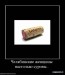 Владимир Греховодов фотография #43
