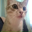 №10 Борис Рудаков 22.02: профиль, фото, статус - ВКонтакте